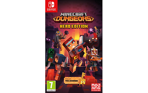JEUX VIDEOS - Minecraft Dungeons Hero Edition Nintendo Switch VF
